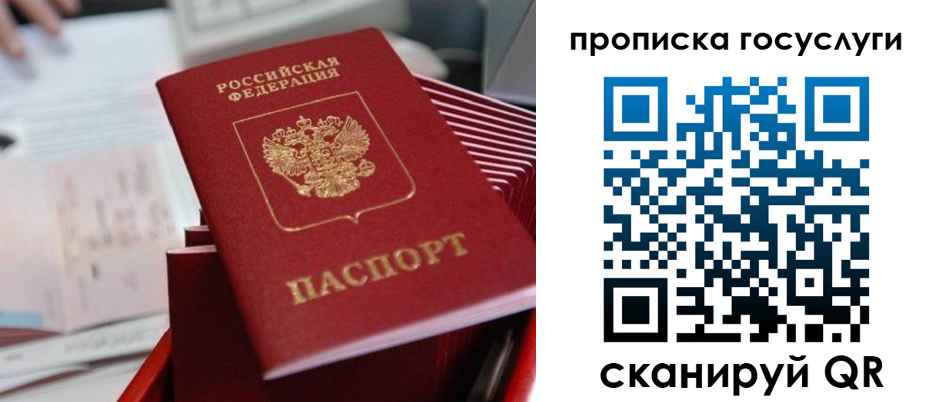 прописка законно в Волгоградской области